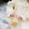 Lovely Toast Cat Crossbody Bag