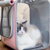Cat Transport Bag