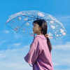 Cute Anime Automatic Folding Umbrella