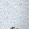 Whisper Blue Standard Wallpaper