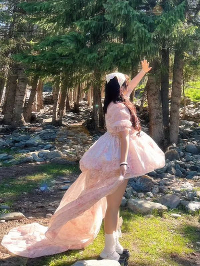 ♡ Floral Princess ♡ Dress – Plus Size