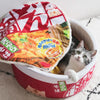 Funny Pet House
