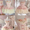 Romantic Rose Rococo Dress