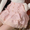 Kawaii Mini Skirt