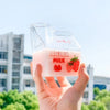 Kawaii Milk Carton Cups