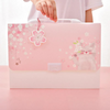 Sakura File Folder