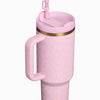 Stanley x LoveShackFancy Quencher H2.0 FlowState Tumbler