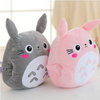 Totoro Cushion And Blanket